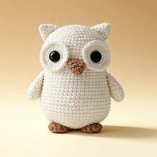 2 Adet The Gurumi Baykus Örgü Öğrenme Kiti