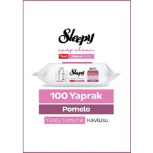 Sleepy Easy Clean Yüzey Temizlik Havlusu 100LÜ Pomelo