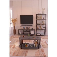 Barin Design Salon Oturma Odası Takımı Metal Ayaklı Tv Ünitesi Kitaplık Orta Sehpa Avantajlı Mobilya Seti