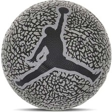 Nike Jordan Skills 2.0 Graphic Wolf Gri Mini Basketbol Topu (J.100.6753.056)