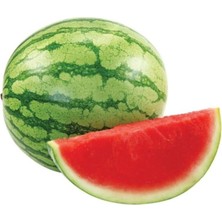 Thailand Çekirdeksiz Karpuz Tohumu 5 Adet Tohum Bebek Karpuzu Tohum