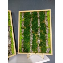 Dcartgallery 2'li Doğal Ağaç Kabuğu & Şoklanmış Yosun Tablo Seti (30X40 Cm) - Masada & Duvarda Kullanıma Uygun Ahşap Çerçeveli Dikey Bahçe