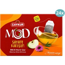 Çaykur Şahane Karışım Süzen Poşet Çay 40 G x 24 Adet