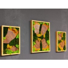 Dc Art Gallery Dcartgallery 3'lü Doğal Kütük & Şoklanmış Yosun Duvar Tablosu Seti (1 Adet 30X40 cm + 2 Adet 20X30 Cm) Ahşap Çerçeveli Canlı Dikey Bahçe Dekoru