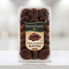 Gün Kurusu