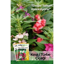 Patika Botanik 30 Adet Kına (Impatiens Balsamina) Çiçek Tohumu