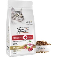 Velora Felicia Kuzu Etli Yetişkin Kedi Maması Düşük Tahıllı Hipoalerjenik 2 kg