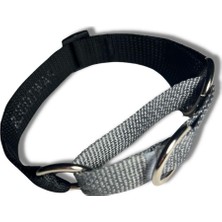 Velora Pawtools Martingale Köpek Eğitim Tasması (Siyah, Medium)