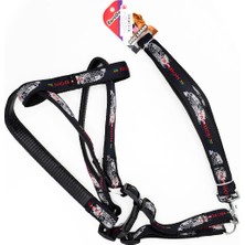 Euro Dog Eurodog Köp.uztm+Göğüs Tasması 25MM 120CM Siyah