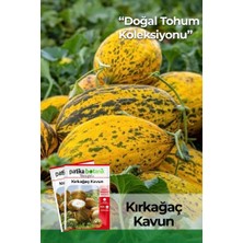 Patika Botanik 25 Adet Ata Tohumu Kırkağaç Kavun