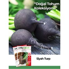 Patika Botanik 400 Adet Ata Tohumu Siyah Turp