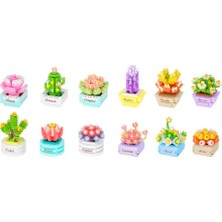 NW NessiWorld Saksı Çiçekleri Sukulent Serisi 3D Puzzle