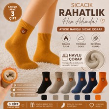 Festival Socks Ayıcık Desenli Termal Kadın Havlu Kışlık Çorap Seti 3 Çift