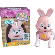NW NessiWorld RS-9037C/9038C Kut.pilli Tavşan / Kedi