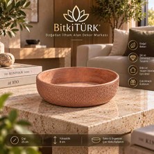 Bitkitürk Bonsai Saksısı Dekoratif Beton Saksı Sukulent Kaktüs Aranjman Saksısı