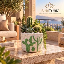 BitkiTÜRK Iç Mekân Bitkileri, Bonsai, Kaktüs ve Sukulent Aranjman Saksısı – Dekoratif Beton Saksı