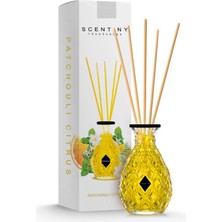 Scentiny Fragrances Patchoulı Cıtrus Çubuklu Oda Parfümü Porky 110ML