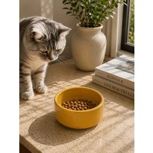 Esranın Dünyası Kase Model Beton Kedi Köpek Mama ve Su Kabı (15CM Çap × 5cm) - Bronz