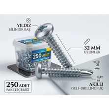 Std S4232 Ysb Yıldız Silindir Başlı 4.2X32 mm Matkap Uçlu Metal Sac Vidası Vida (250 Adet)