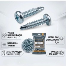 Std S3919 Ysb Yıldız Silindir Başlı 3.9X19 mm Matkap Uçlu Metal Sac Vidası Vida (250 Adet)