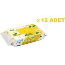Nano Yüzey Temizlik Havlusu Limon 100 Lü 12 Paket