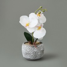 Matmel Etnik Desenli Beton Saksı Real Touch Orkide - Asorti - 28X12X12 cm