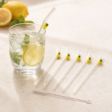 Tohana Limon Figürlü 6'lı Cam Pipet - Renkli