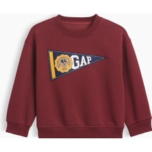 Gap Erkek Bebek Bordo Vintagesoft Varsity Logo Sweatshirt