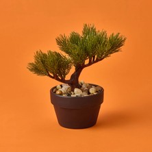 Matmel Bonsai Çiçek - Asorti - 19 cm