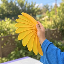 Lina Hobby Muz Yelpaze 3D Baskı Dekoratif Eğlenceli Hediye