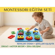 Plato 3D Montessori Şekil ve Renk Eşleştirme Oyunu | Eğitici Zeka Geliştirme ve Ince Motor Beceri Seti