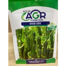 Agr  Salatalık Tohumu  Yerli Garantli  5 Paket Sırık