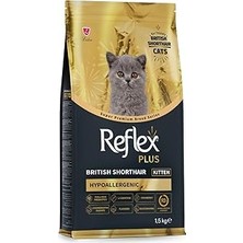 Uravas Store Reflex Plus British Shorthair Yavru Kedi Maması 1.5 kg