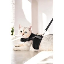 Velora Medium Sevk Kayışlı Reflektörlü Göğüs Boyun Kedi Tasması - Siyah