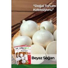 Patika Botanik 400 Adet Ata Tohumu Beyaz Soğan