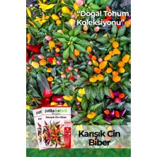 Patika Botanik 150 Adet Ata Tohumu Karışık Cin Biber