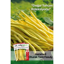 Patika Botanik 40 Adet Ata Tohumu Hanımeli Fasulye