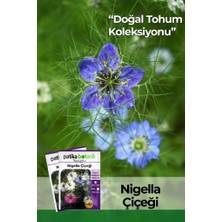 Patika Botanik 100 Adet Nigella Çiçeği Tohumu (Nigella Sativa L.)