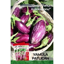 Patika Botanik 40 Adet Ata Tohumu Yamula Patlıcan