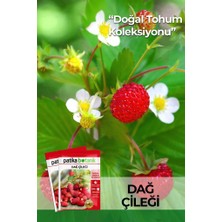 Patika Botanik 80 Adet Ata Tohumu Dağ Çileği