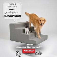 Xpermate Köpek Merdiveni Kedi Merdiveni 4 Basamaklı Evcil Hayvan Merdiveni Antrasit
