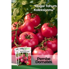 Patika Botanik 80 Adet Ata Tohumu Pembe Domates