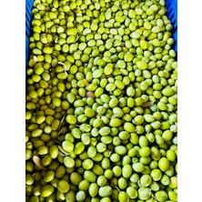 Zeytincimsin Kırmalık Ham Yeşil Zeytin 5 kg (Iri Boy)