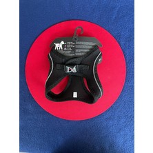 Tmax Gögüs Tasması