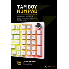 Gameagle Diablo Rgb Mekanik Oyuncu Klavyesi Red Switch 97 Tuş Full Anti-Ghosting Ses Kontrol Tekerlekli Tr Q