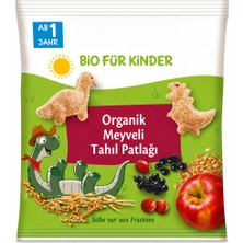 Renas Store Organik Meyveli Tahıl Patlağı 30 gr