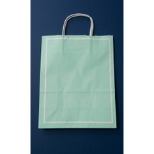 Aybaş Kağıtçılık 1. Kalite 25X12X31 cm (24 Adet) Yeşil Renk Kağıt Çanta, Hediye Poşeti, Kına, Düğün, Nişan, Doğum, Günü Çantası