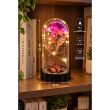 Relievo Pembe Sevgiliye Özel Sonsuzluk Gülü LED Işıklı Fanus – Pilli Dekoratif Gül Gece Lambası 12X22 cm