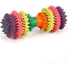 Renas Store Beeztees Köpek Oyuncağı, Diş Bakım, Renkli, 14X6X6CM