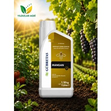 Gübretaş Mangan 3 1lt